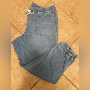 Lane Bryant Light Blue Denim Stretch Joggers